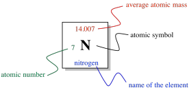 A picture of one square of the periodic table. In the middle of the square is a Roman capital N, for nitrogen. To the lower left 
of the element symbol is the atomic number of nitrogen, 7. At the top of the square is 
nitrogen's average atomic mass in amu or Daltons, 14.007. At the bottom of the square is the element's name, nitrogen.