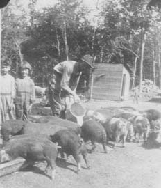 1922 Herb Marian and Father slopping hogs