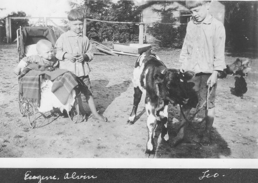 1922_Gene_Alvin_Leo_calf