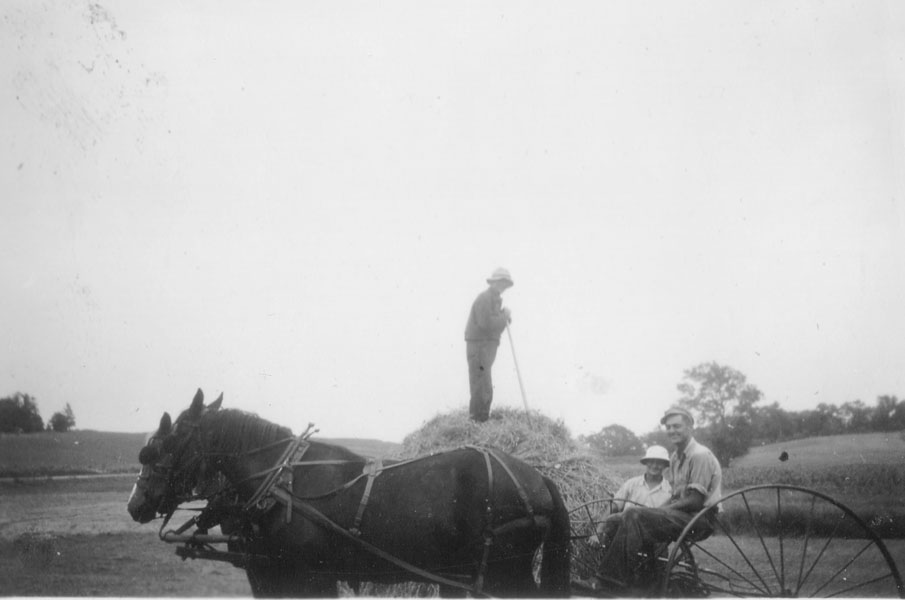 1937~Gene and Al making hay with horses